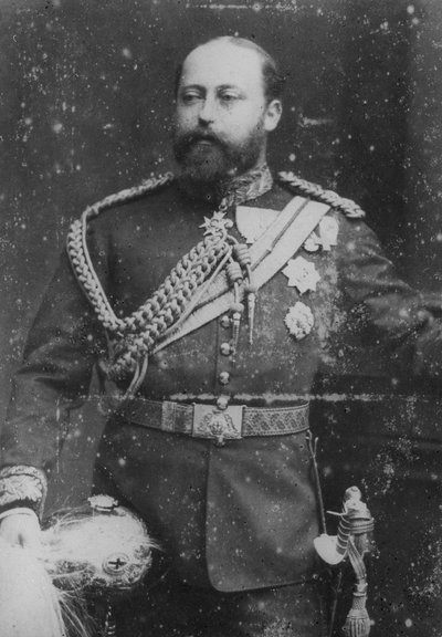 The Prince of Wales, 1889 by English Photographer